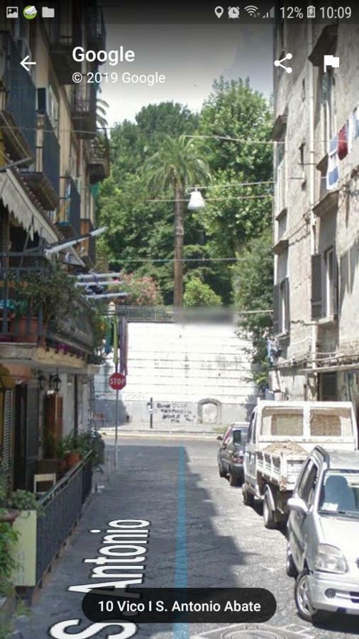 Vacanze Da Angela - Orto Botanico Napoli Ngoại thất bức ảnh